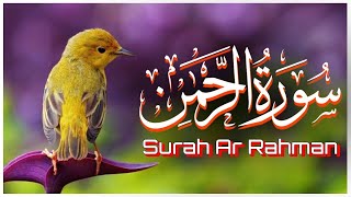 Surah Ar-Rahman 🕋 | Surah RAHMAN  سورة الرحمن | Ar-Rehman Full | EP 129