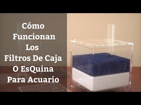 Video: ¿Qué pasó con el filtro de caja / esquina?