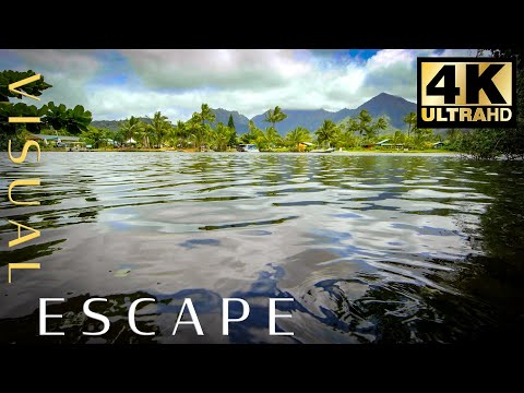 7hrs of Water Lapping Sounds in Hawaii | Ambience, Sleep, Work, Study, Meditate