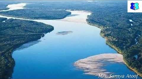 The Elixir of Life(Part 1)