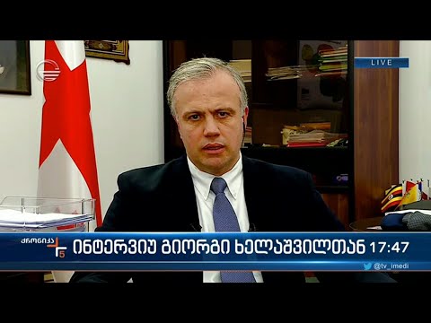 საპარლამენტო უმრავლესობის წევრი, გიორგი ხელაშვილი „ქრონიკაში\'