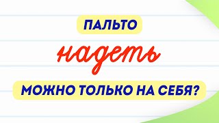 Можно ли надеть пальто НА кого-то? Разбираем интересные особенности русского языка!