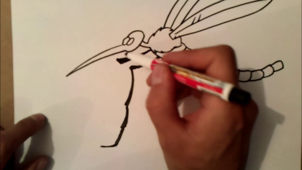 كيفية رسم البعوض Youtube