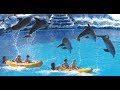 Мундомар Бенидорм, морской мир, парк развлечений в Бенидорме