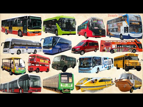 School bus, City bus, Police bus, Open top bus, Electric Bus | Learn Bus Name, Vehicle