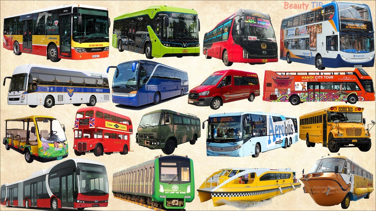 School bus, City bus, Police bus, Open top bus, Electric Bus | Learn Bus Name, Vehicle Name