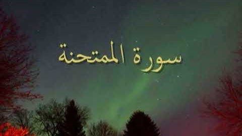 سورة الممتحنة بصوت القارئ ناصر القطامي