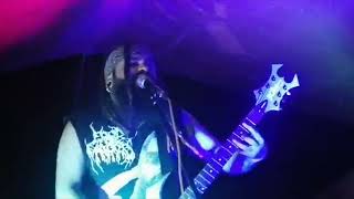 Food for Maggots - Bastardo y borracho