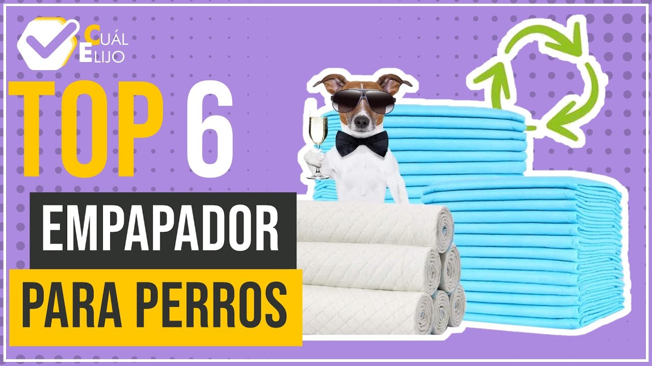 Empapador para perros - Top 6 - (CuálElijo)