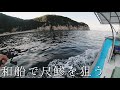 良型鯵をサビキで入れ食いする。