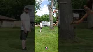 How To Train Youre Anis To Scare Away Annoying People