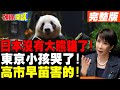 台灣與熊貓的政治熱潮