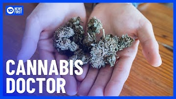 Australian Doctor Investigated For Prescribing 12,000 People Cannabis | 10 News First
