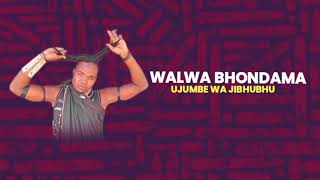 Download Lagu WALWA BHONDAMA UJUMBE WA JIBHUBHU BY MBASHA STUDIO 2025 + 0675298245 MP3 Download Lagu WALWA BHONDAMA UJUMBE WA JIBHUBHU BY MBASHA STUDIO 2025 + 0675298245 MP3