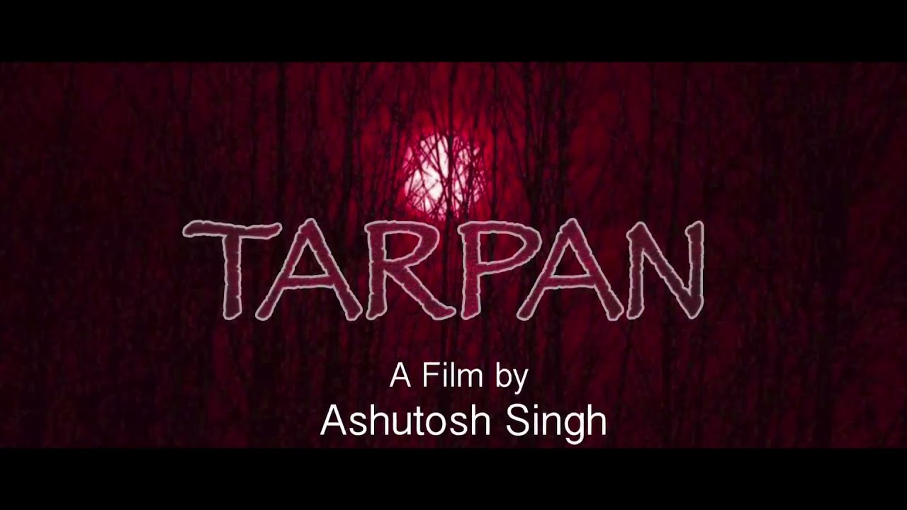 Tarpan