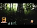 Bayou Legends and Personal Narratives