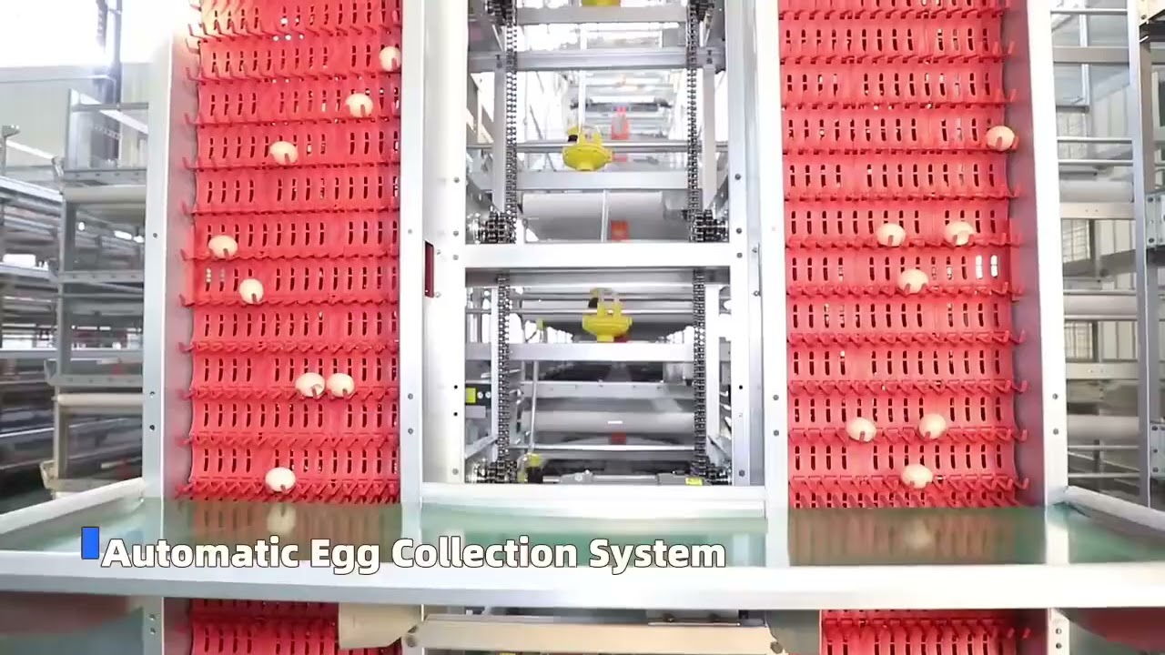H-Type layer cage