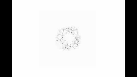 Simulated Donut Image - Real Time