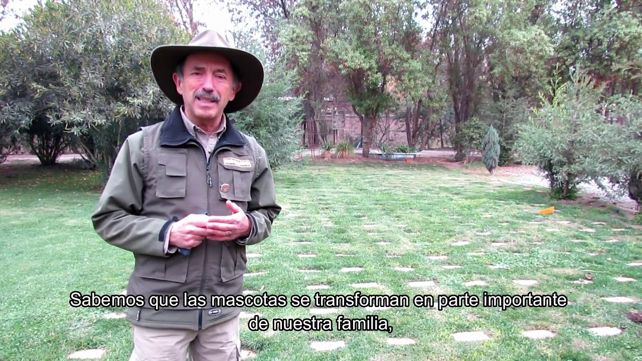 BUIN ZOO TE ACOMPAÑA EN CASA (Cementerio Parque de Asís)