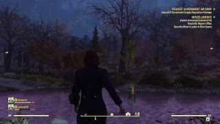 Fallout 76: Texture glitch