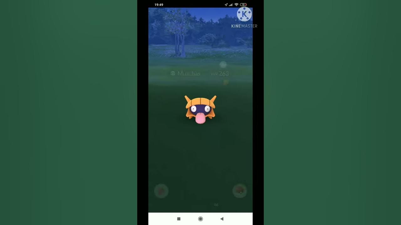 Shiny Muschas gefangen Pokemon Go YouTube