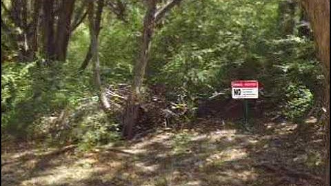 Second Class Scout Requirement #2b