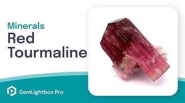 Red Tourmaline | Minerals Taken With GemLightbox Pro