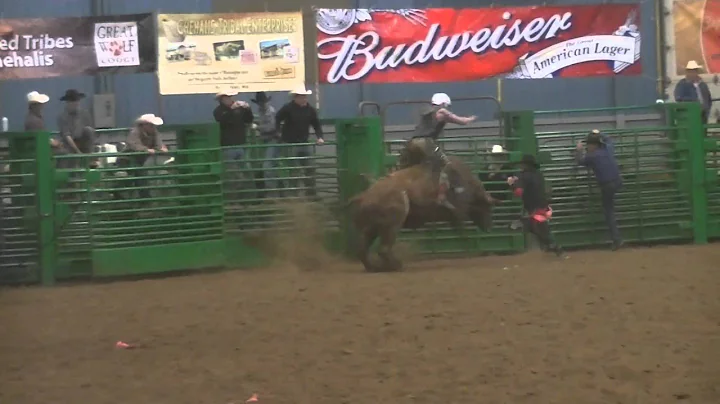 howell rodeo bulls elma wa