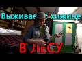 5 лет парень выживает в хижине в лесу и занимается работами по дереву. Постелил ковролин на грядки.