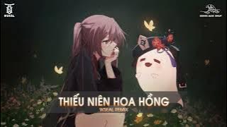 THIẾU NIÊN HOA HỒNG | WSEAL REMIX