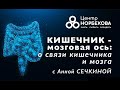 Открытый вебинар &quot;Кишечник — мозговая ось: от связи кишечника к мозгу&quot; с Анной Сечкиной 27 Января