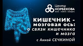 Открытый вебинар "Кишечник - мозговая ось: от связи кишечника к мозгу" с Анной Сечкиной 27 Января