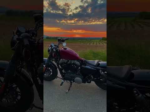 Клуб «Штурман» - выкуп, доставка и оформление #harleydavidson под ключ 🔑 Полное ТО в подарок 🎁