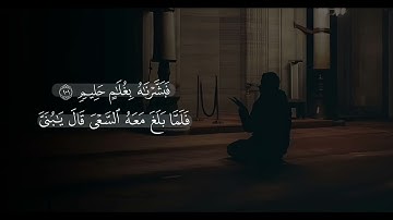 ما تيسر من سورة الصافات | القارئ توفيق الطائع