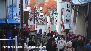 What is Customer Centricity? | MINDSHOP ECHO