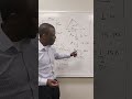 Area of Triangles & Rectangles