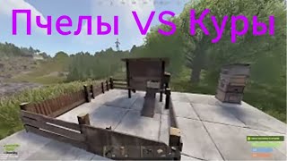 видео: КУРЫ vs ПЧЁЛЫ: кто даст БОЛЬШЕ ресурсов? картинка: КУРЫ vs ПЧЁЛЫ: кто даст БОЛЬШЕ ресурсов?