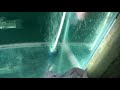 Middle of video