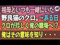 【感動する話】祖母といつも一緒にいた野良猫のクロ。ある日、クロが珍しく俺の職場へ!?俺はその意味を知り...