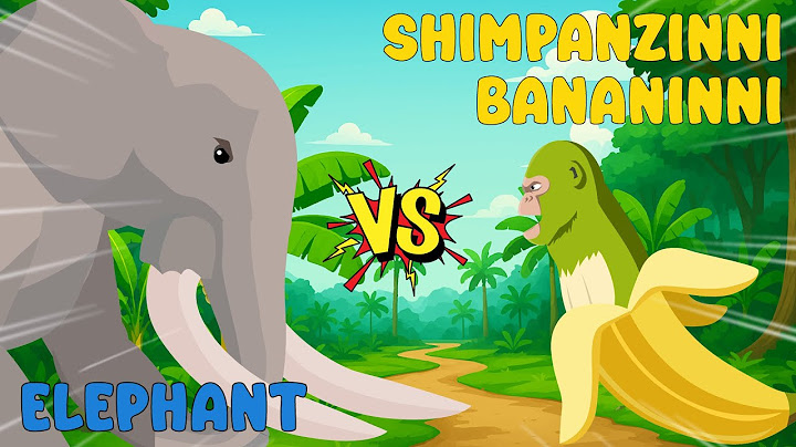 Elephant  vs Shimpanzinni Bananinni | Zoochosis vs Brainrot [S1] | Monster Animation