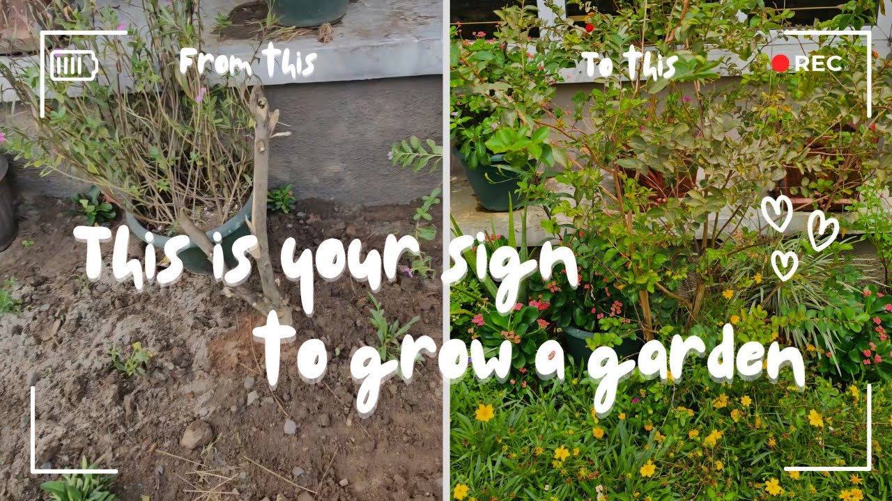 MORAYO'S GARDENING MOVIE | SO MUCH CAN HAPPEN IN A YEAR