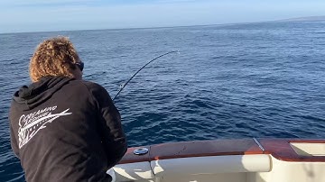 Swordfishing in SoCal. Deep drop