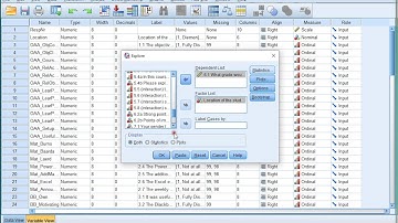 SPSS   Means and Standard Deviations (via Explore)