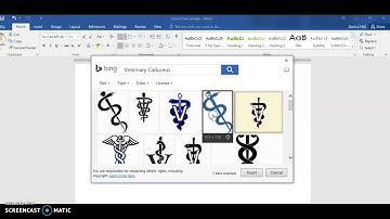 Microsoft Word 2016 Module 4 Part 2