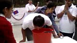 Tae Fiestas De Quito 2010