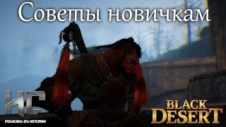Black Desert Советы новичкам
