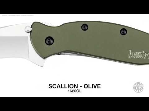 Kershaw Scallion Review 2020| Latest Kershaw Scallion Review