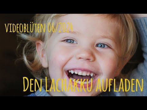 wildsino casino review