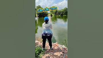 Cần câu 2 khúc đặc Toro #shorts | Dã Ngoại Cùng Lan