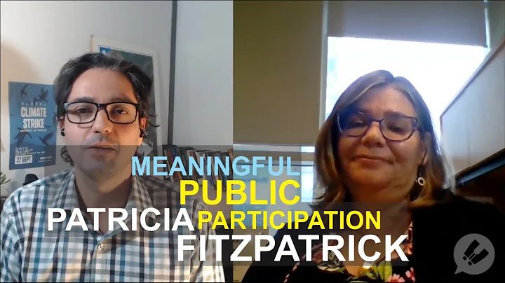 Meaningful public participation in EIA: interview ...